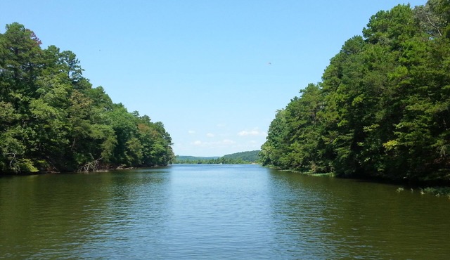 Lakeside retreat with private dock on Palmerville Lake!