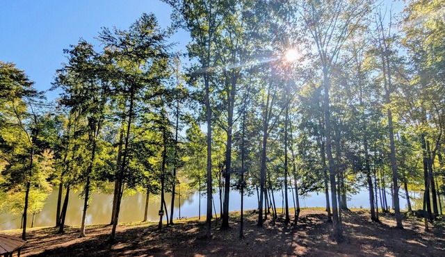 Lakeside Serenity directly on Lake Reidsville