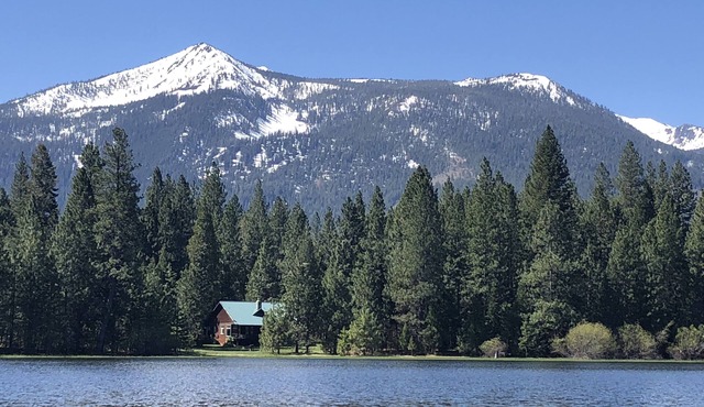 Lakeside Stone Cottage on 6 acres on Hammond-pet friendly