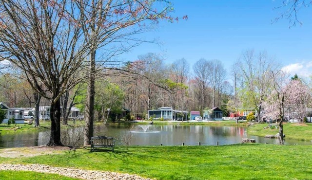 Lakeview 2BR Tiny Home near Trails, Pool + Bocce + Free Tickets