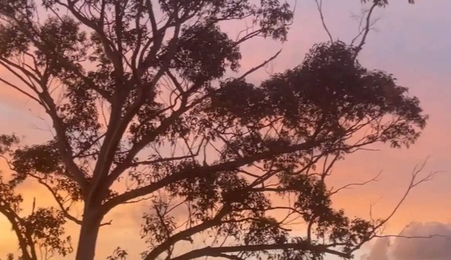 Lakeview at Green Point