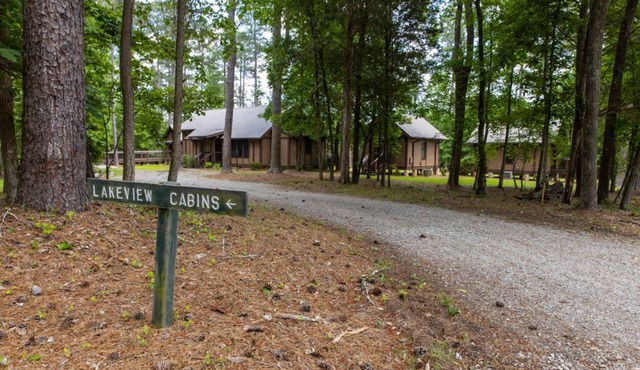 Lakeview cabin: Perfect for large groups & ball teams minutes from lakepoint!