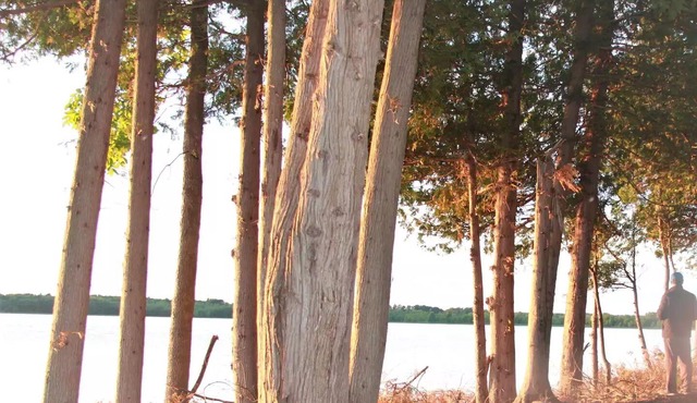 Lakeview Campsite E