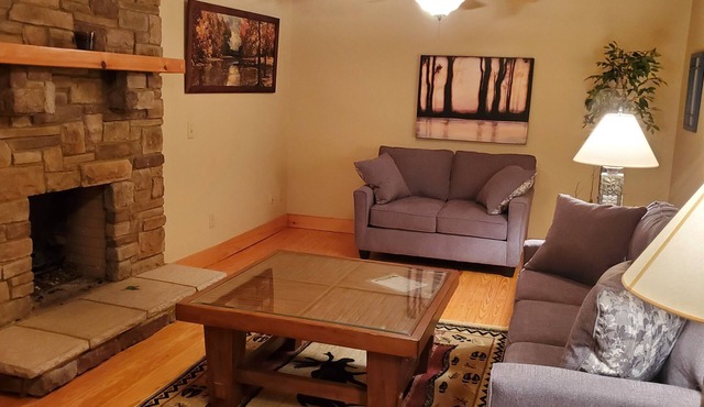 Lakeview Lounge. 3 bedroom cabin surrounded by national forest.