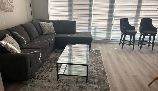 Lakeview Luxury Condo Suite