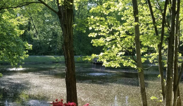 Lakeview - Tranquille and private suite Located 20 minutes from D.C