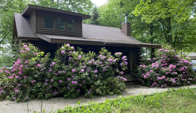 Lakewood Lodge on Beautiful Bass Lake 6 adults 2 children