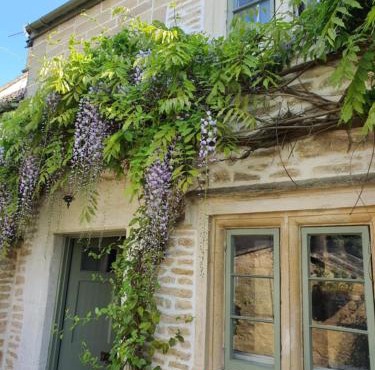 Lamb Cottage Bed and Breakfast