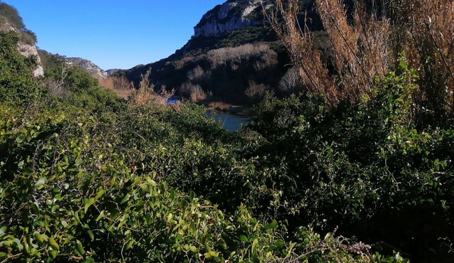 Lamedoune, apartment with swimming pool in the heart of the southern Cévennes