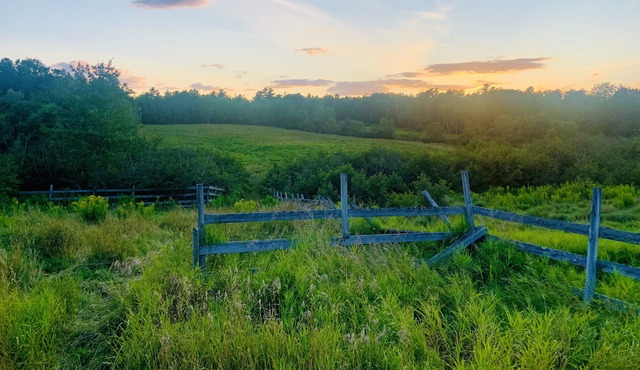 Lamoine Cabin on the Coast of Maine; just minutes from Acadia National Park
