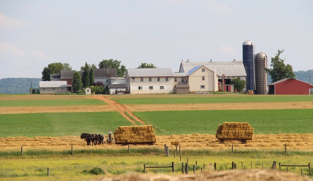 Lancaster County Amish Farm Stay - Near Kitchen Kettle Village in Intercourse