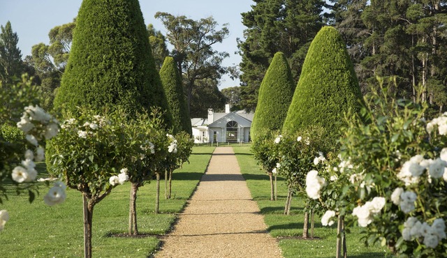 Lancemore Lindenderry Red Hill