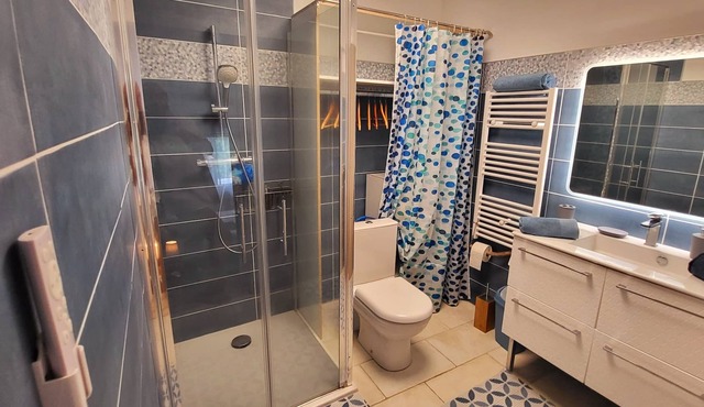 Landaise du XIX Rénovée