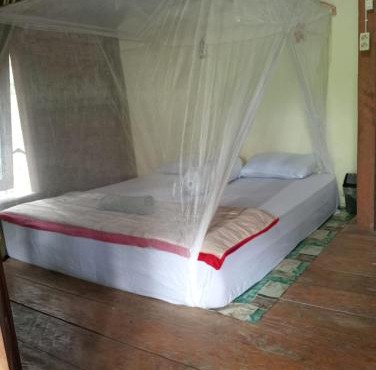 Landak River Guest House Jungle Trekking Only Booking with Us