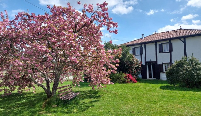 Landes océan - Rental house 230 m2, close to beaches