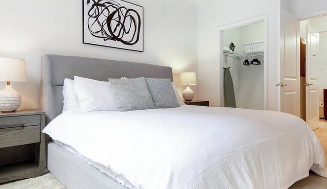 Landing at BLVD Commons - 1 Bedroom in Downtown Ashburn