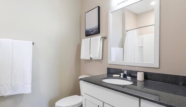 Landing at Marina Lofts - 1 Bedroom in East Toledo