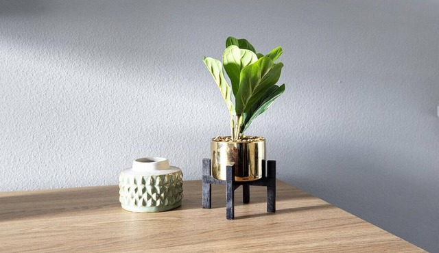 Landing at The Princeton at College Park - 1 Bedroom in College Park