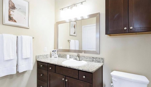 Landing at The Retreat at Riverstone - 1 Bedroom in Downtown Sugar Land