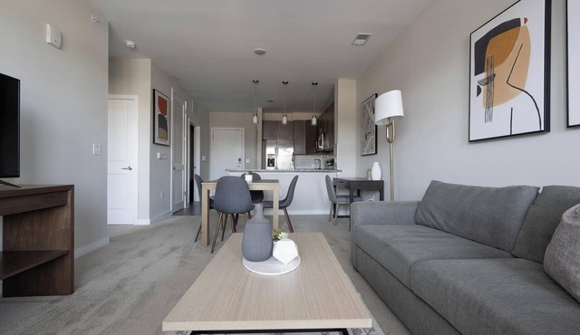 Landing | Beautiful 1BD, Gym, Pool