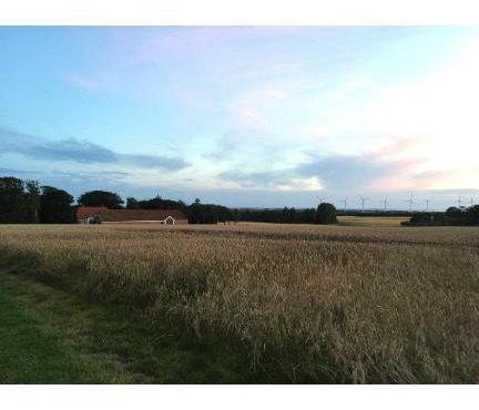 Landlig idyl på Degnbol