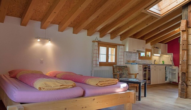 Landstrasse 153 Studio by Interhome