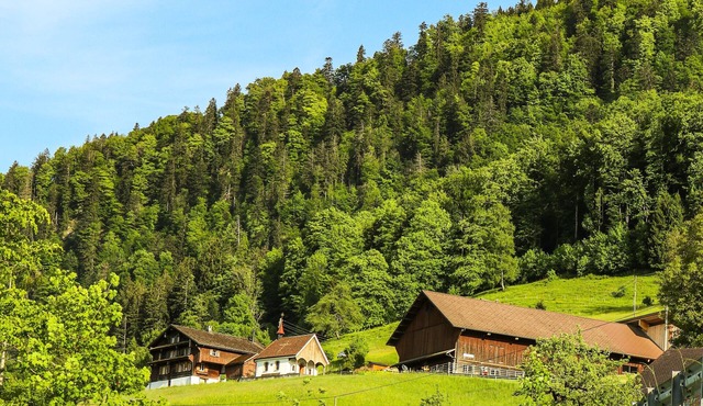 Langberg organic farm with a wonderful view