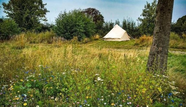 Langeland Camping