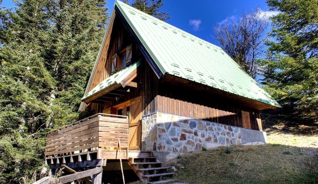 Larch - LA BOLLENE-VESUBIE