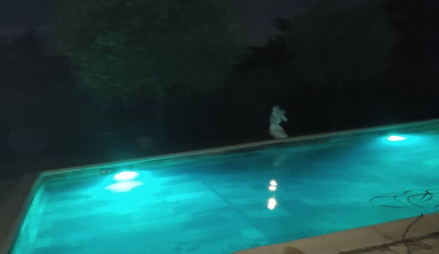 Large studio in house