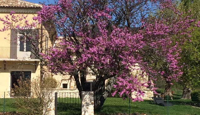 Large renovated mas in Drôme provençale for several families or friends.