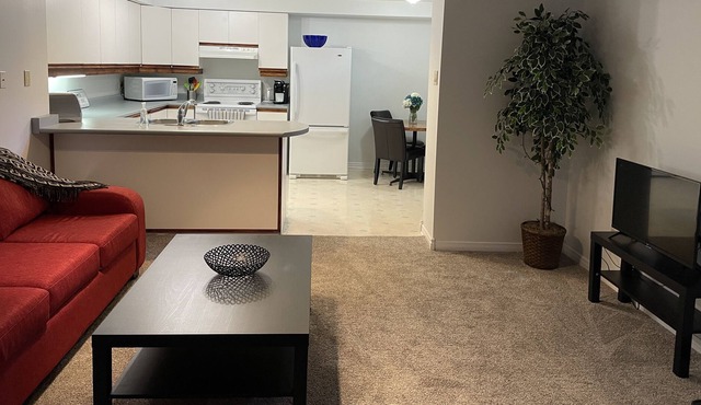 Large 1 Bedroom Apartment- Private Entrance & Yard