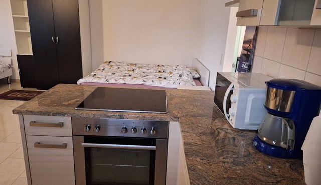 Large 1-room apartment-Mark