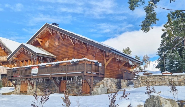 Large 187 m² mountain chalet - Le Grand Cerf, La Joue du Loup 🐺