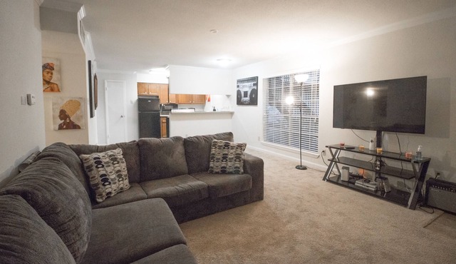 Large 2 bedroom Apartment in the Heart Of Houston