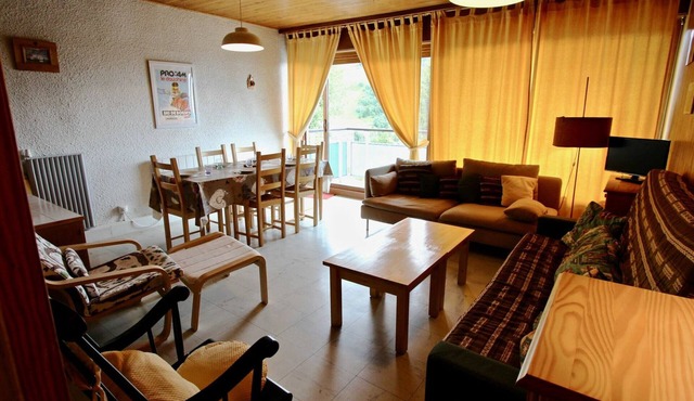 Large 2-room apartment, south-facing balcony, pets allowed