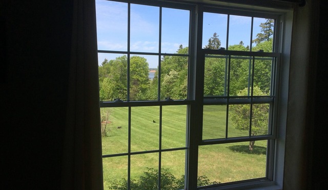 Large 3 Bedroom Home + NEW 2021 2 Bedrooms aprtmt for add’l fee$ per night