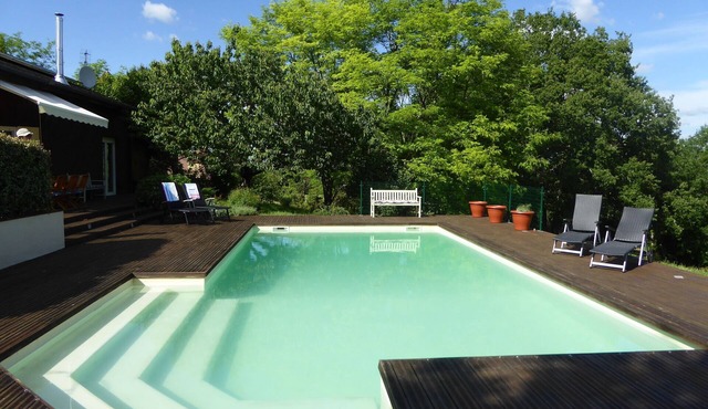 Large 4 Bedroom, 2 bathroom house with large private pool.