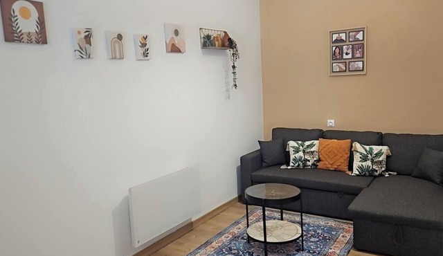 Large 47 m² renovated family apartment on 1st floor - Portes des Ardennes