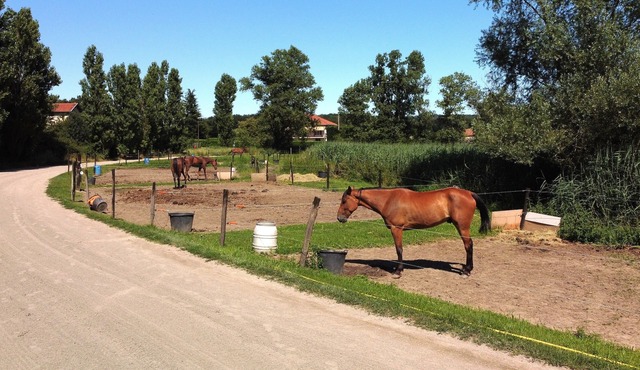 Large 75m2 apartment with quiet view 25km from Lyon