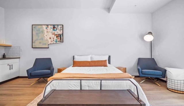 Large Ada, pet friendly loft in Kendall Yards