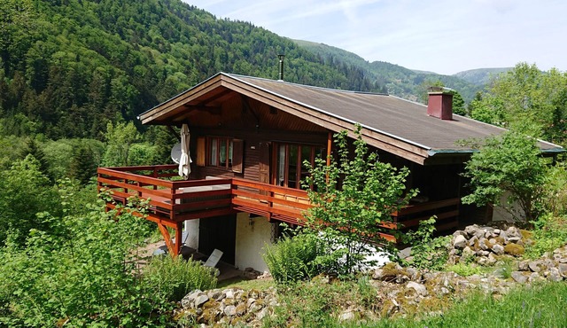 Large and beautiful wild cottage with sauna Alsace