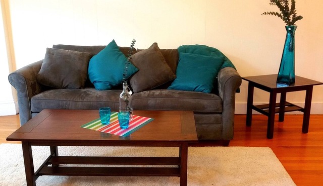 Large And Charming 2 Bedrooms Apartment , 2 minutes walk to the Coolidge Corner.