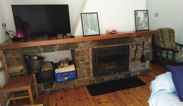 Large and cozy apartment, in Camprodon