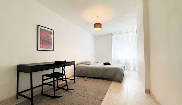 Large apartment 155m2, 10 pers. max, hypercentre Cholet, 25min Puy-du-Fou