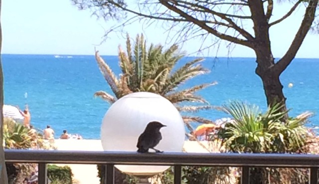 Large apartment, exceptional sea view, seafront, Argeles Plage, Climatisation