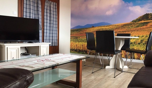 Large apartment Gite with terrace