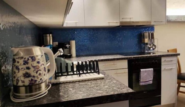Large apartment in the alps in the holiday center