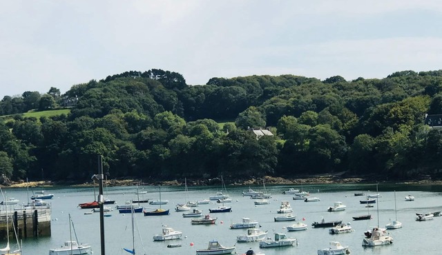 Large apartment with sea view over the port of Rosmeur