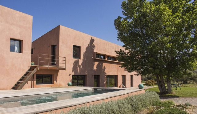 Large architect house in the middle of olive trees